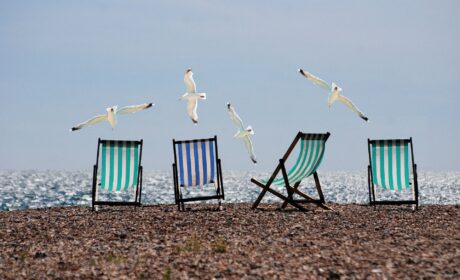 Transat jardin ou plage